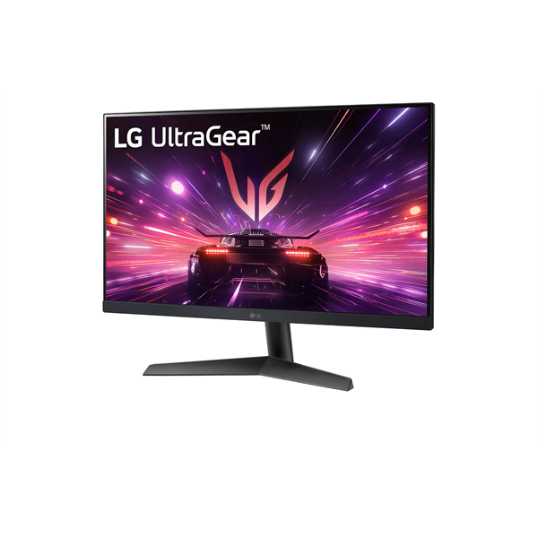 LG Monitor 24