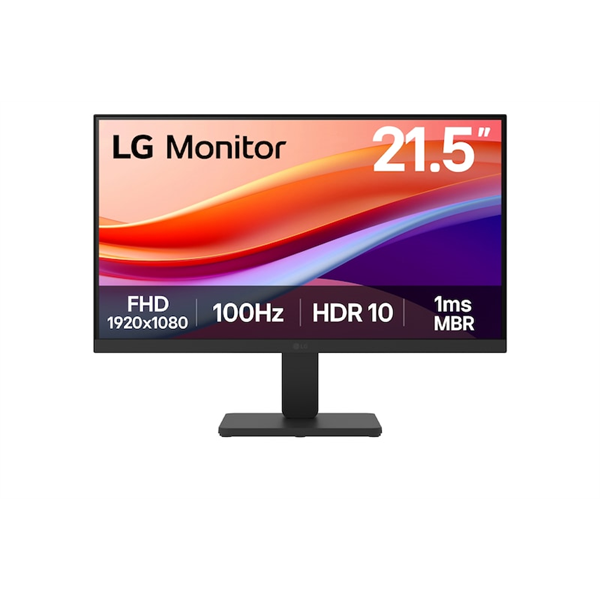 LG Monitor 22