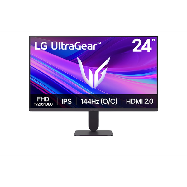 LG Monitor 24