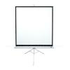 EliteScreens 99