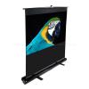EliteScreens 80