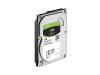 HDD SATA Seagate 1TB 3.5 5900 256M SkyHawk